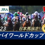 2023年 ドバイワールドカップ(G1) | 第27回 | JRA公式