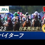 2023年 ドバイターフ(G1) | 第27回 | JRA公式