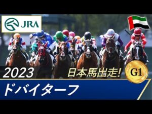2023年 ドバイターフ（G1） | 第27回 | JRA公式