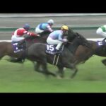 2023年 高松宮記念(GⅠ) 【カンテレ公式】