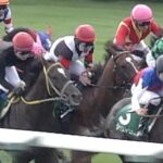 【競馬】大阪杯→天皇賞・春→宝塚記念の春の中長距離G1の3連勝馬に褒賞金を交付