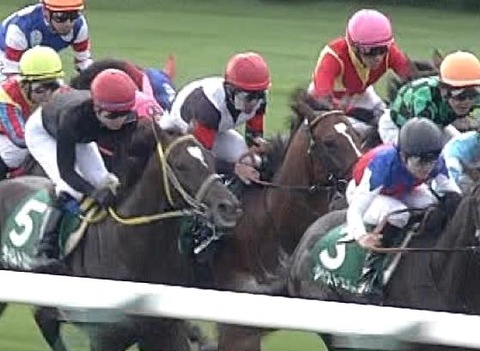 【競馬】ベッラレイア死す 19歳ナリタトップロード産駒