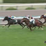 【毎日杯2023】結果・動画/シーズンリッチが馬群を割って差し切る