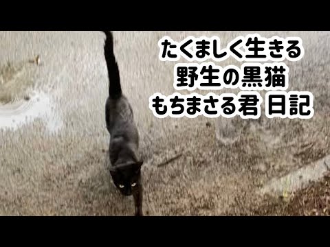 【競馬】武豊も驚嘆「馬ってこんなに速く走れるんだ」　ドウデュース持ったままでラスト１０・６秒の超抜時計