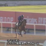【競馬・ドバイターフ】ドウデュースの馬体ヤバない?