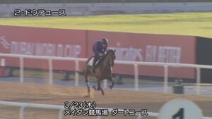 【競馬・ドバイターフ】ドウデュースの馬体ヤバない？