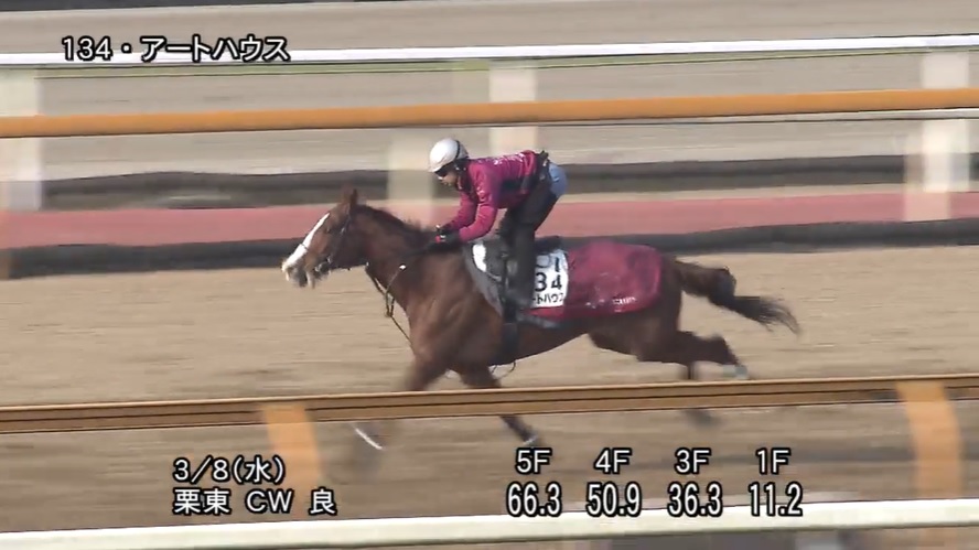 【中山牝馬ステークス2023】追い切り/動きを見極め勝利に近づけ