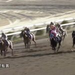 【黒船賞2023】結果・動画/シャマルが突き抜け圧勝