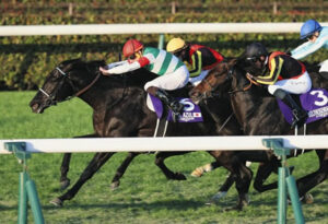 ヴェラアズールとドゥラエレーデがドバイのダート参戦って何なのか