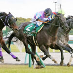 【競馬予想】[3]第53回高松宮記念(GⅠ)/2023