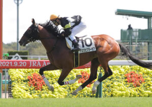 【悲報】田辺降板 アスクビクターモア横山武で天皇賞・春へ