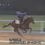 【ドバイターフ】ドウデュースの馬体ヤバない?
