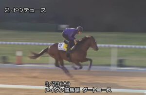 【ドバイターフ】ドウデュースの馬体ヤバない？