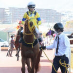 ボルドグフーシュ主な勝ち鞍:一宮記念(2勝クラス)