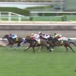 【アネモネステークス2023】結果・動画/トーセンローリエが人気に応える