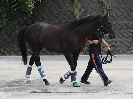 【悲報】シルバーステートのタイマーが超早すぎる件