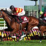 【スプリングS】2番人気ベラジオオペラが差し切ってV!無傷3連勝で皐月賞へ