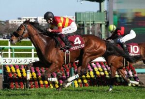 【スプリングS】2番人気ベラジオオペラが差し切ってＶ！無傷３連勝で皐月賞へ