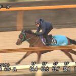 【フィリーズレビュー2023】追い切り/調教を見てわかる事