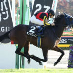 【毎日杯】1番人気12着キングズレインとはなんだったのか