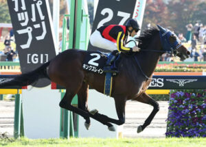 【競馬予想】第70回毎日杯(GIII) /2023