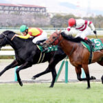 ジャスティンパレス、アグリのABCマート三木オーナー凄ない?