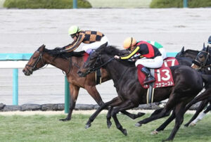 【チューリップ賞】逃げたモズメイメイがハナ差制す！重賞初制覇