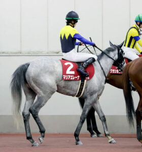 【金鯱賞】マリアエレーナ松山wwwwww