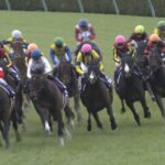 【競馬・ドバイターフ】ダノンベルーガ強くてワロタwwwwwwwwwwww