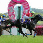 オークス馬ユーバーレーベン左前屈腱炎で引退