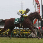【中山牝馬S】アートハウス弱すぎワロタwww