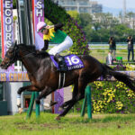 【競馬予想】[1]第71回日経賞(GⅡ) /2023