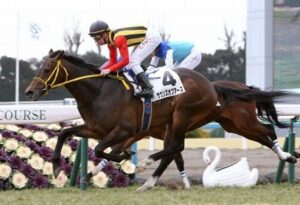 【訃報】サウンズオブアース逝く