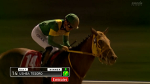 【ドバイWC】オルフェーヴルダート馬説、更に強化される　他