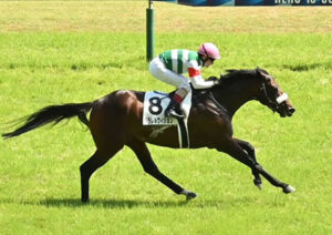 キズナの最高傑作パラレルヴィジョンさん、3勝クラスで敗北