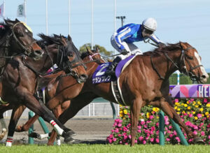 【競馬予想】第18回オーシャンステークス(GIII) /2023