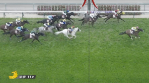 【金鯱賞】ハヤヤッコほんまようやっとる　他