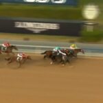 【ドバイゴールデンシャヒーン2023】結果・動画/シベリウスがハナ差の接戦を制す