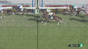 アートハウス…