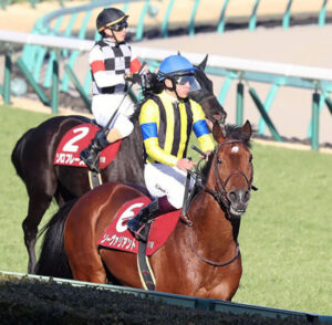 ソーヴァリアント大阪杯回避濃厚！？