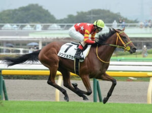 阪神JF2着シンリョクカ、桜花賞除外なら皐月賞へ