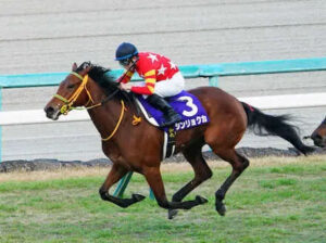 【悲報】直行選択の阪神JF2着シンリョクカ、桜花賞除外対象に