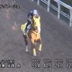 【阪神大賞典2023】追い切り/抜群の動きを見せたのは