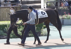 【競馬予想】第37回フラワーカップ(GIII) /2023