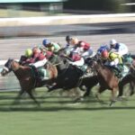 【競馬】絶不調、ミルコ・デムーロ・・・・