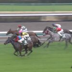 【フラワーカップ2023】結果・動画/エミューが豪快に差し切る