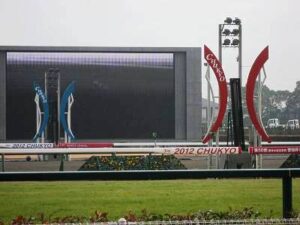 高松宮記念が終わったら立ちそうなスレ