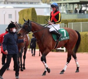 何故 岩田息子は重賞だと荷が重いのか