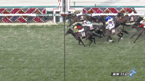 【チューリップ賞】これが権利取りのユタカや