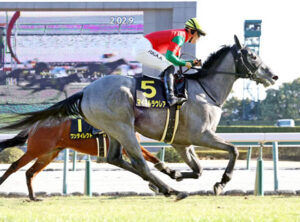 マイネルラウレア 弥生賞に続き毎日杯も回避